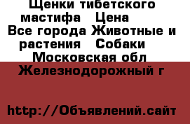 Щенки тибетского мастифа › Цена ­ 80 - Все города Животные и растения » Собаки   . Московская обл.,Железнодорожный г.